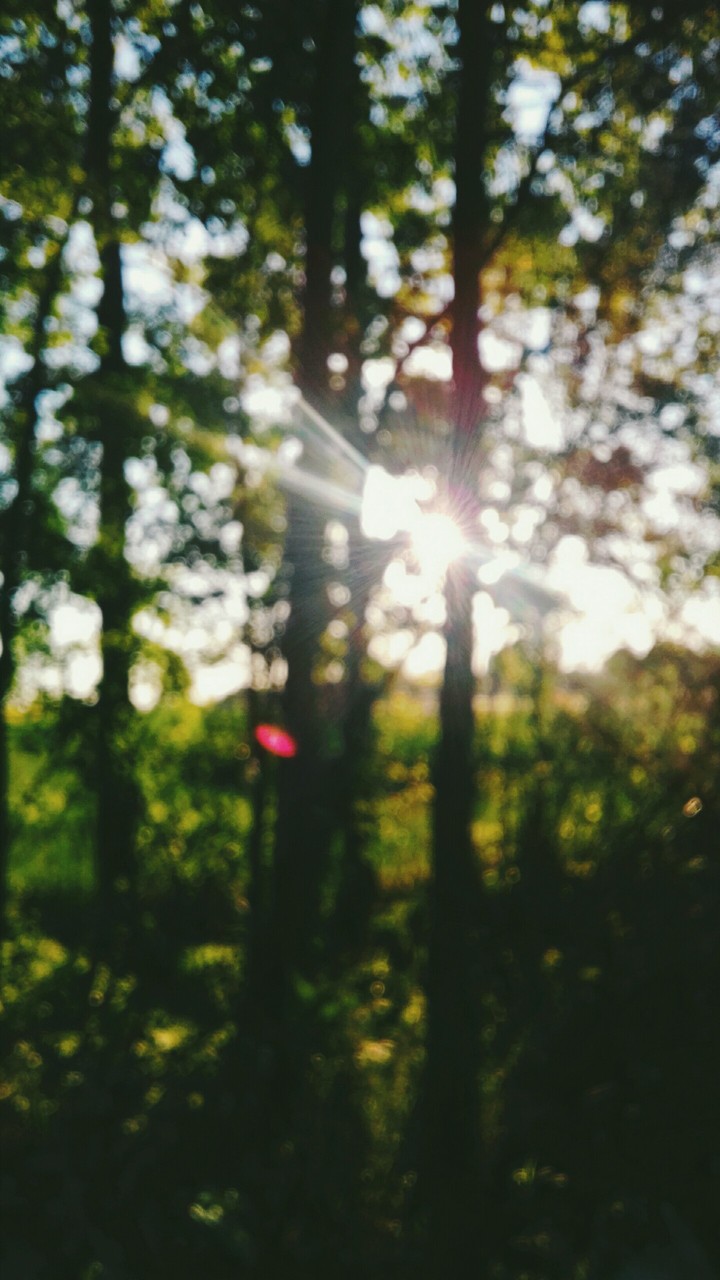 sun