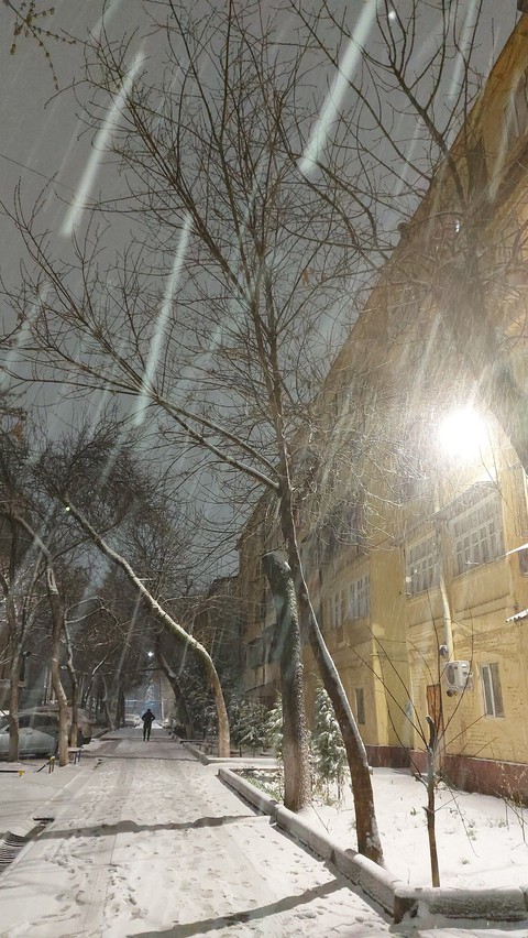 winter