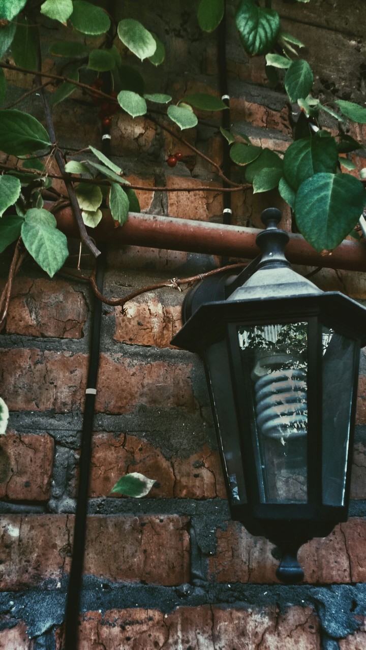 Lamp