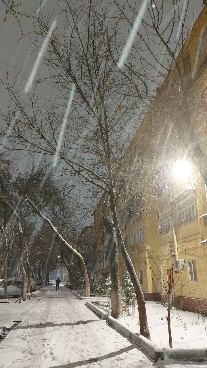 winter