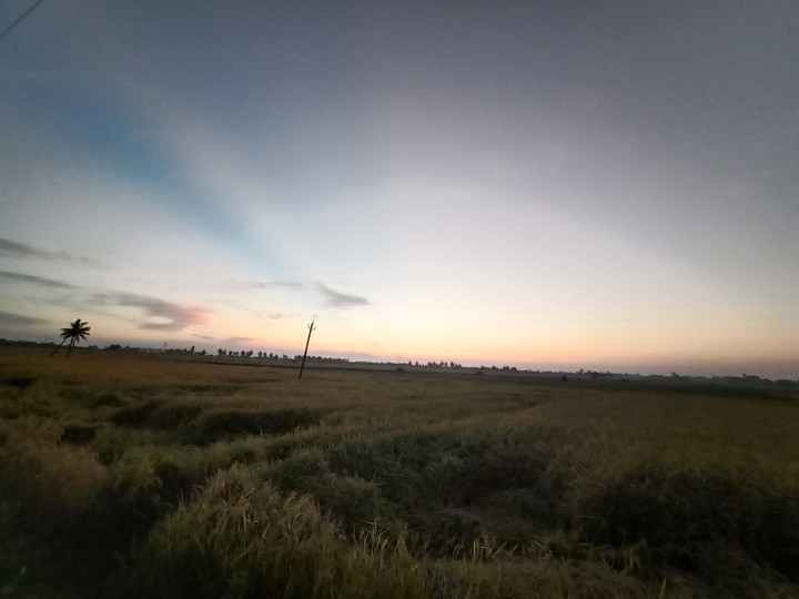 farm
