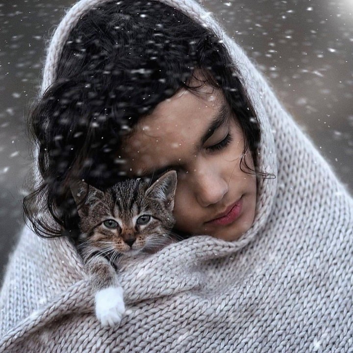 cat