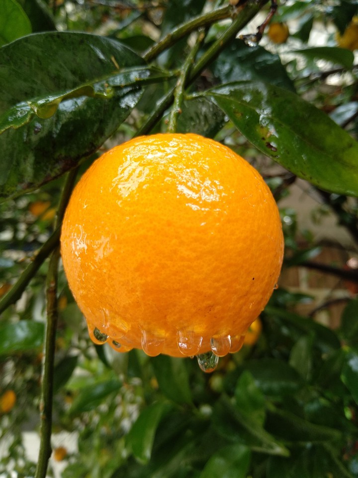 Rainy dey