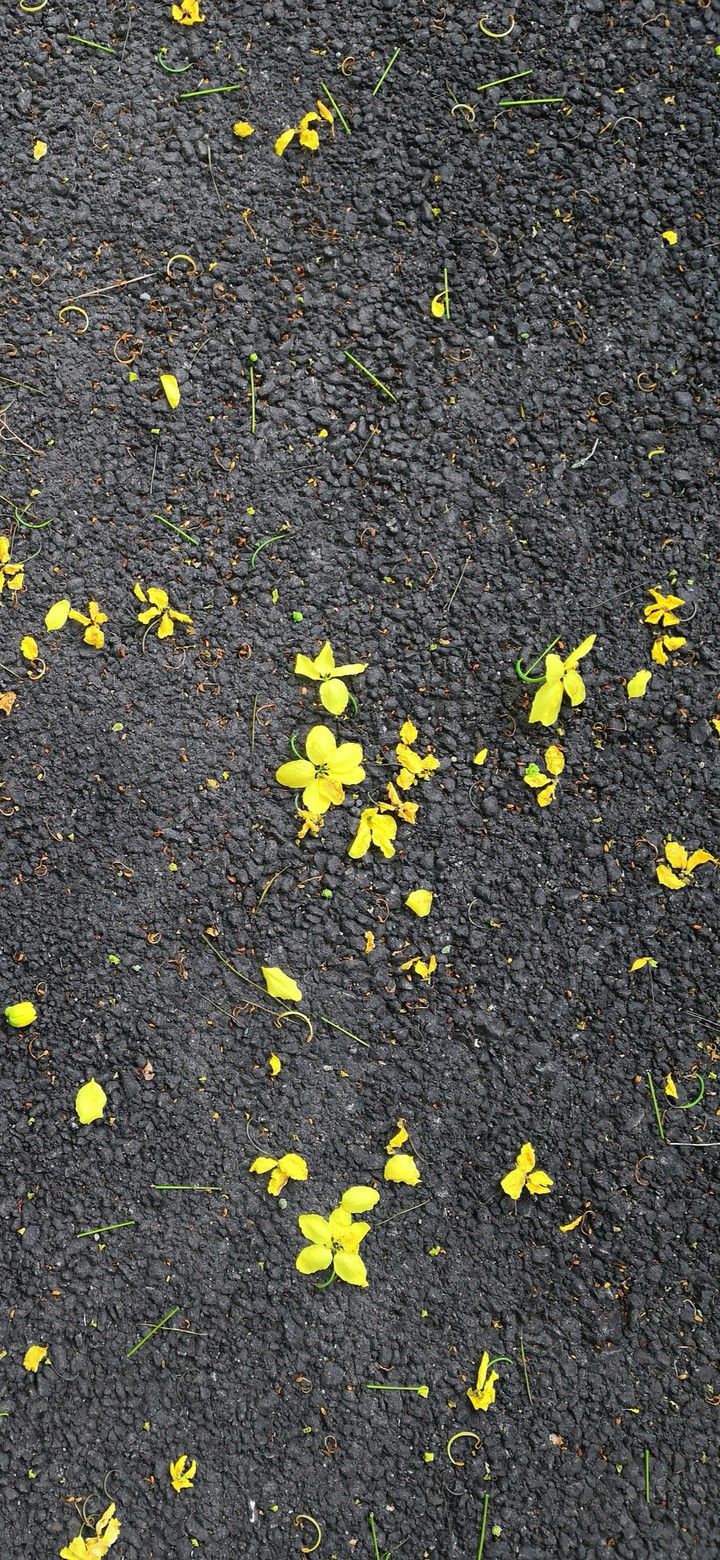 road