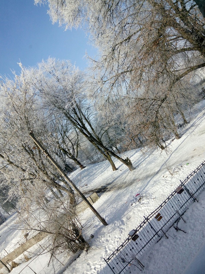 winter