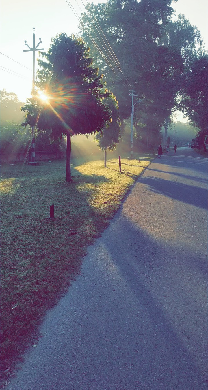Sunrise