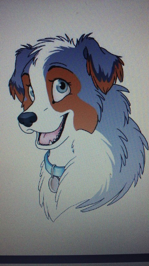 female dog with collar on