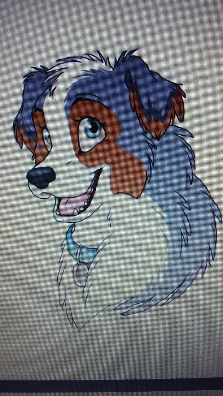 female dog with collar on
