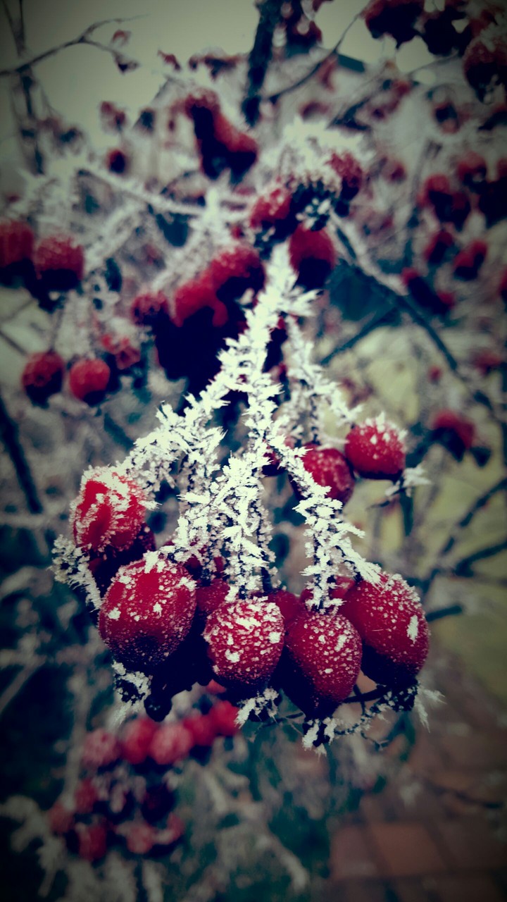 Winter