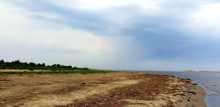 weather