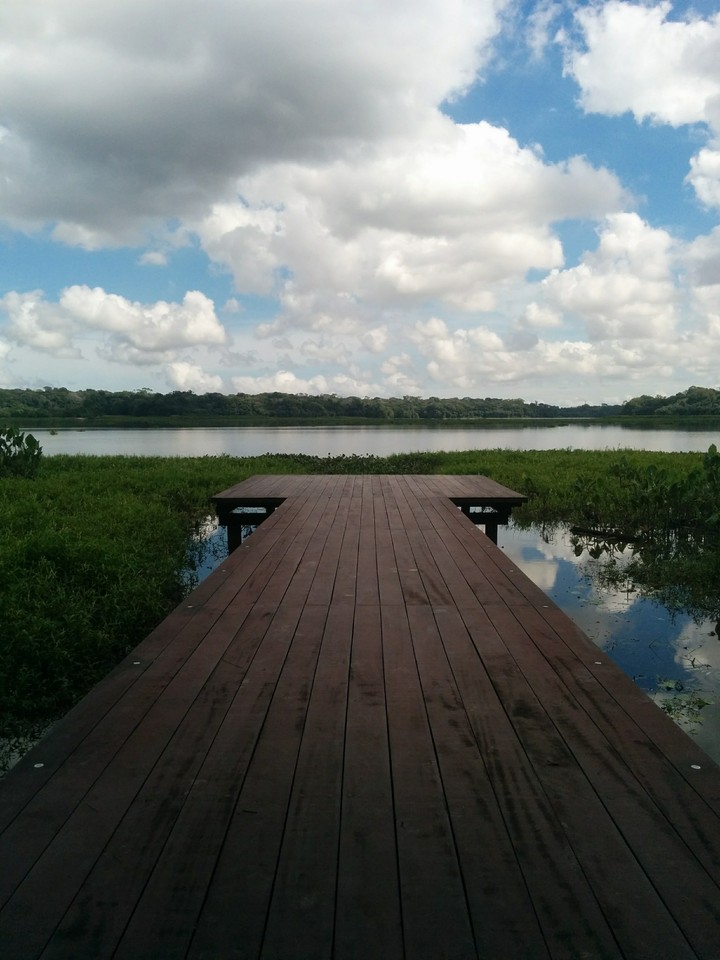 Bolonha Lake view