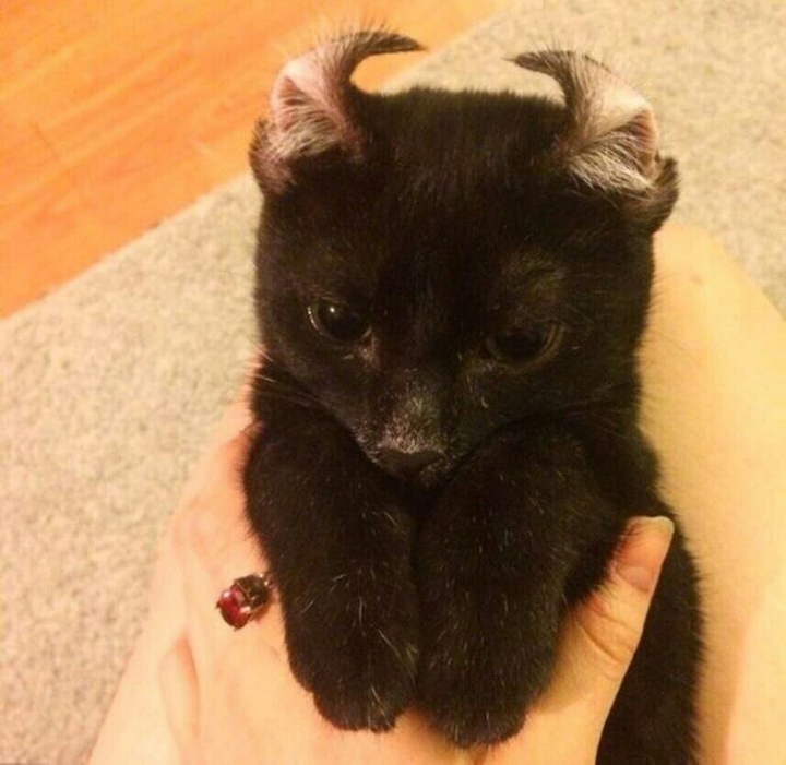 evil