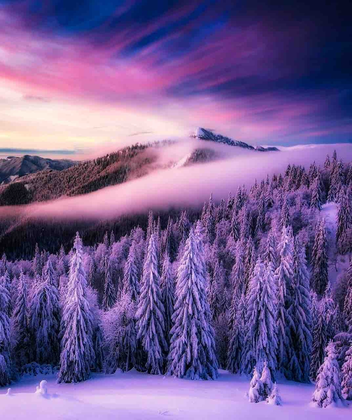 Winter ❄️