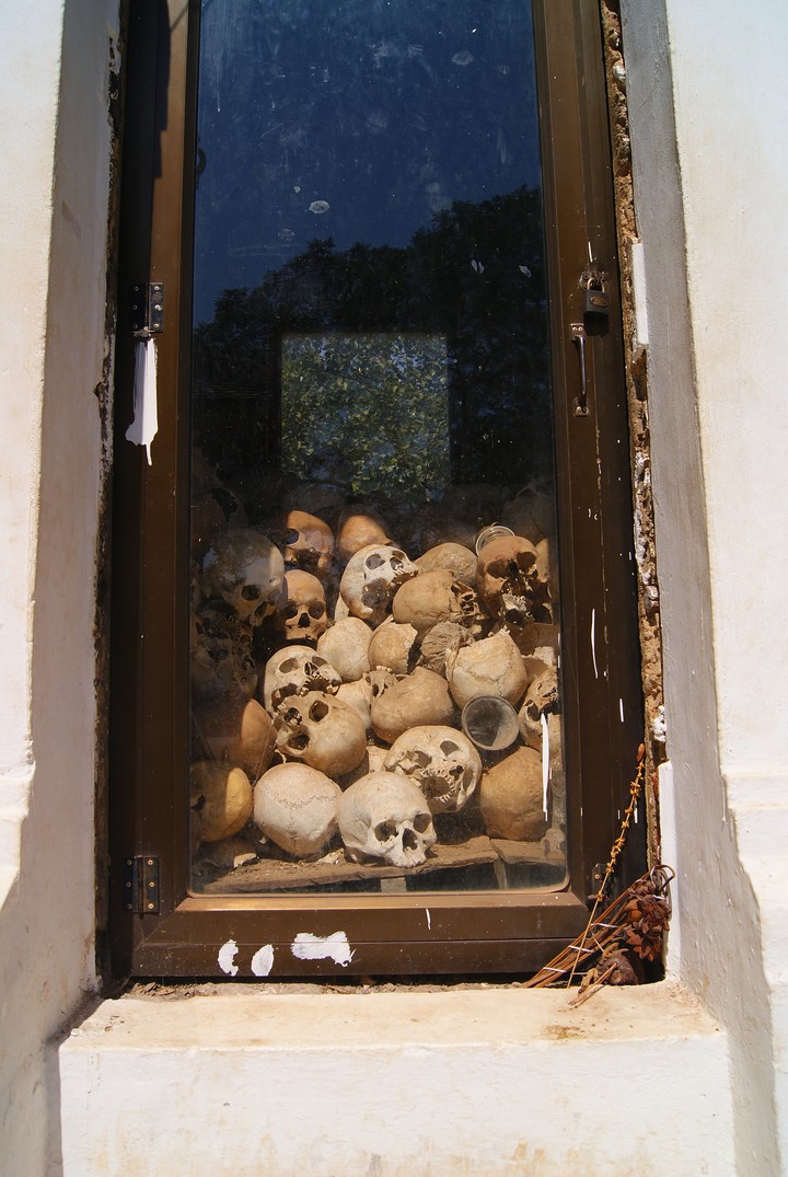 Human Skeleton