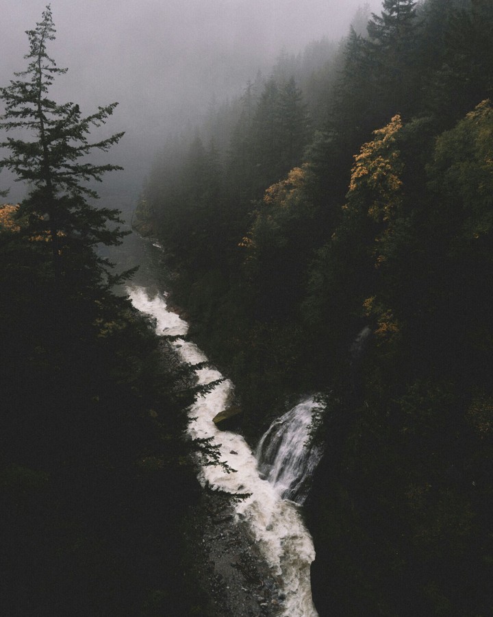 A river in the forest.