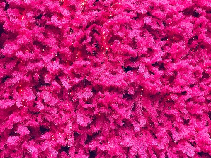 pink