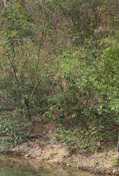 Chapada dos Guimarães,linda.
