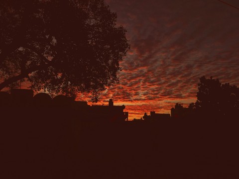 red tinged