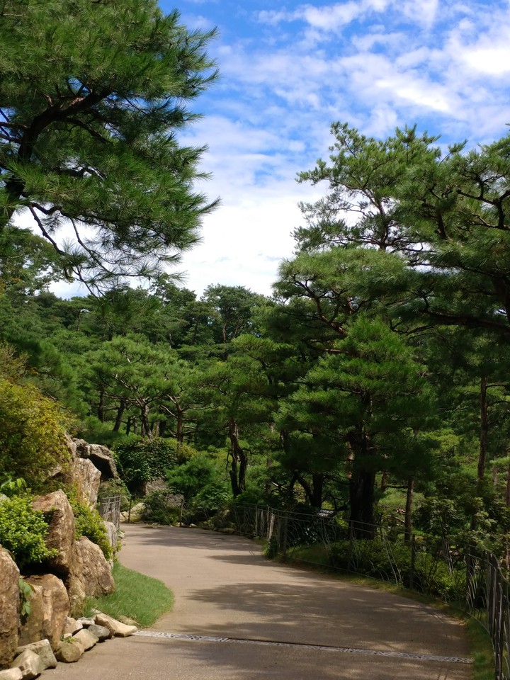 수목원 arboretum