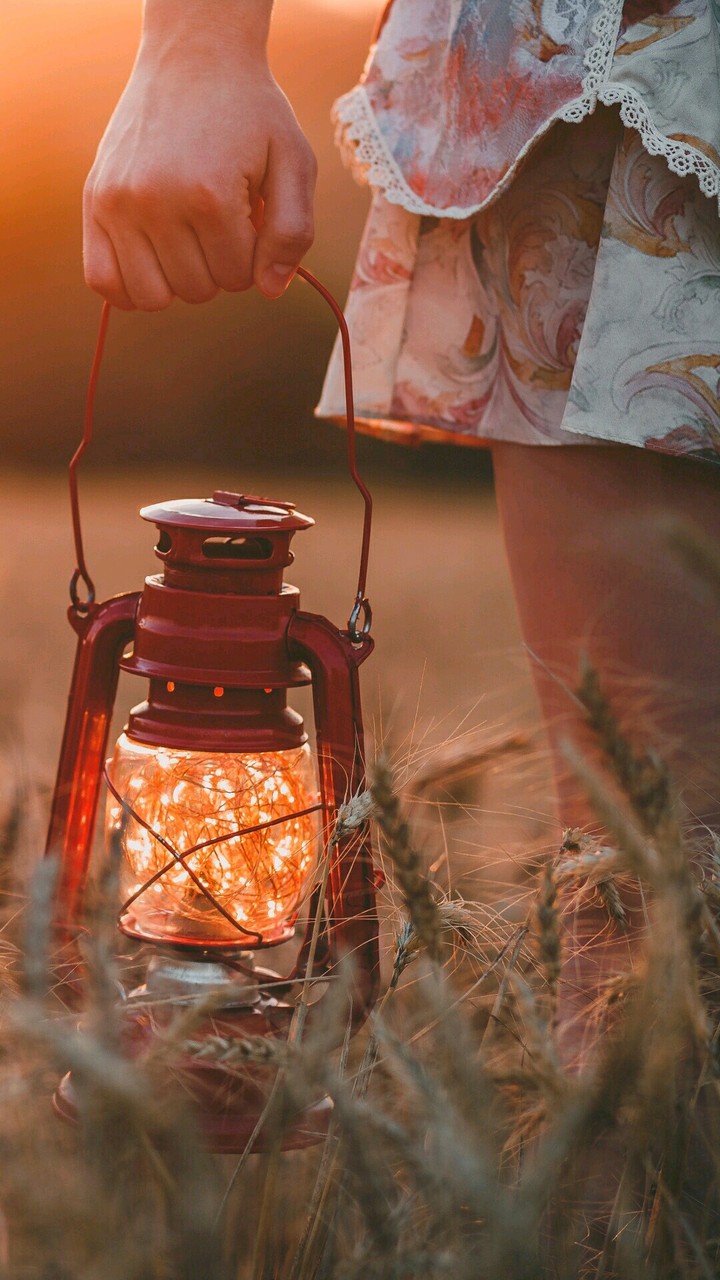 lamp