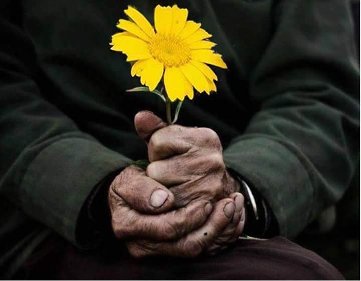 flor
