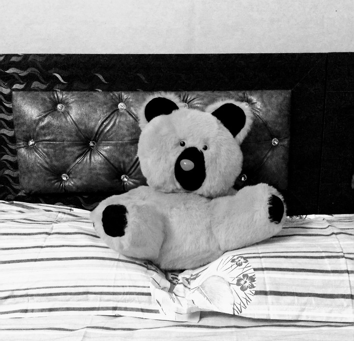 Teddy