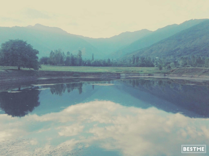 nature
