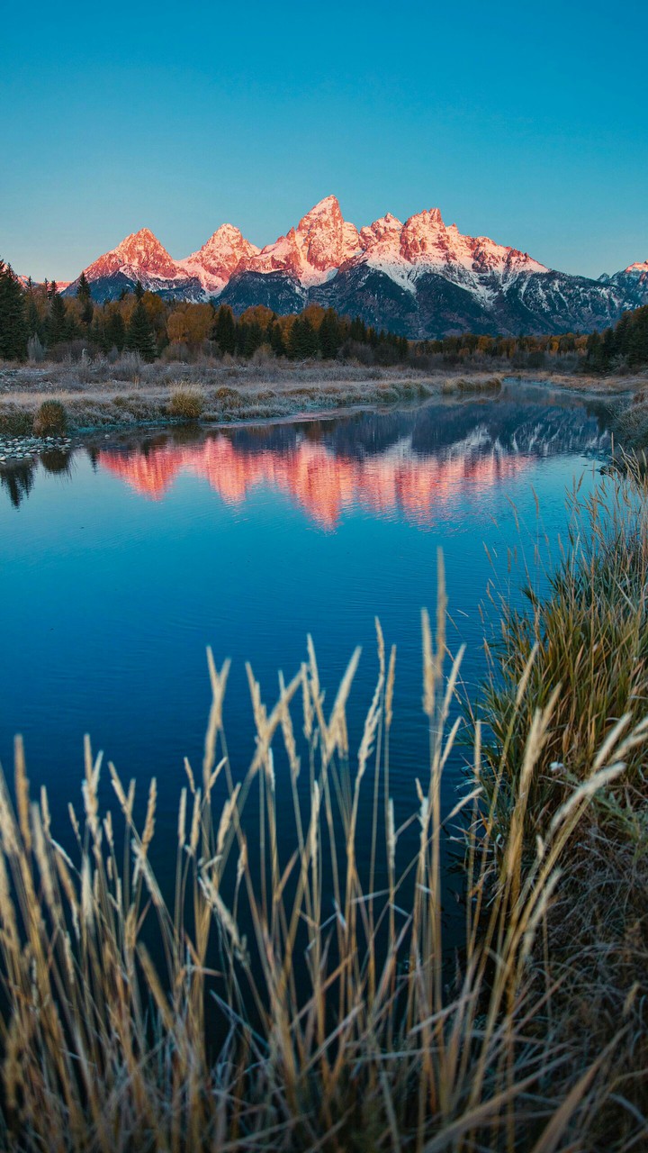 nature
