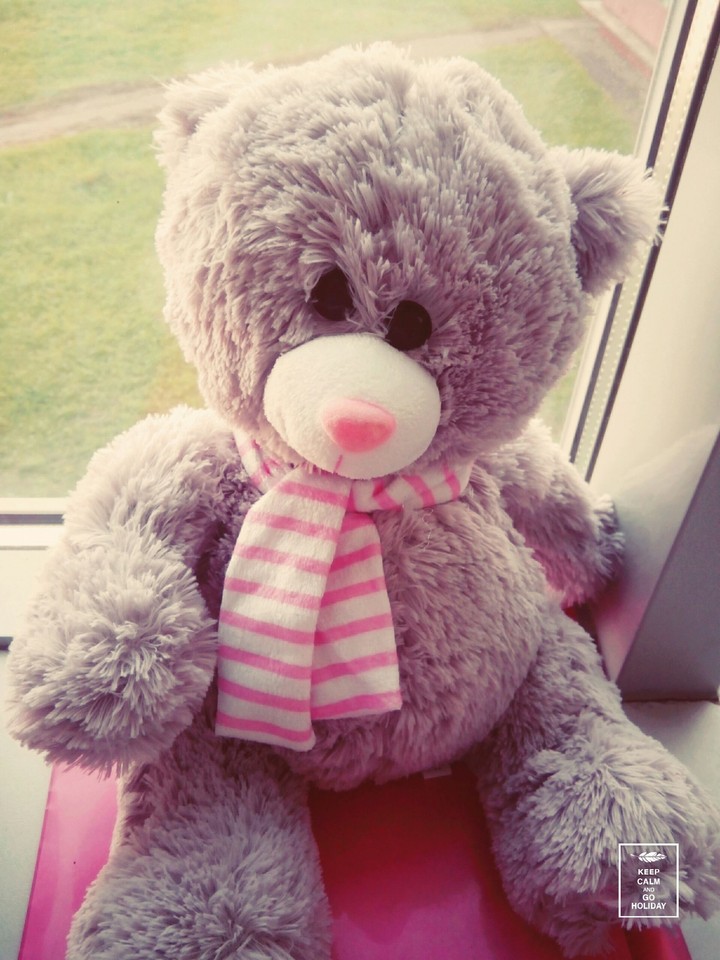 Bear