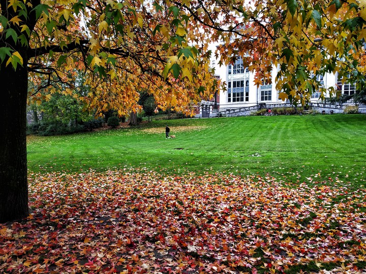 Fall