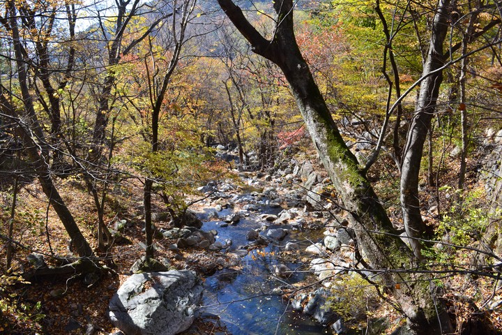 산이미지