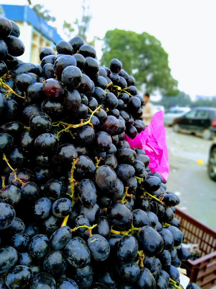 Grapes