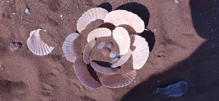 beach