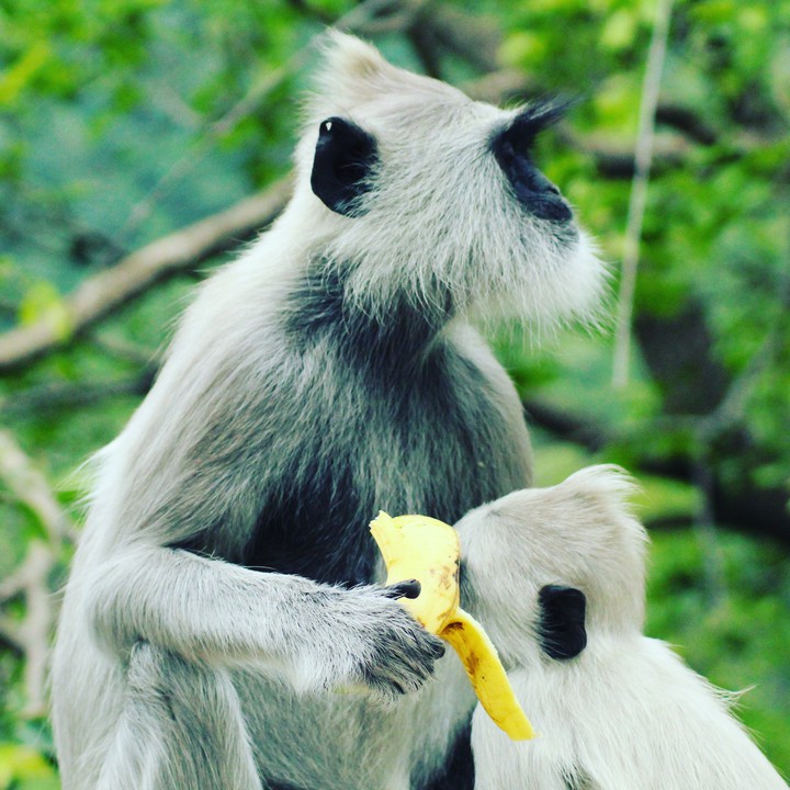 Mom'S Care