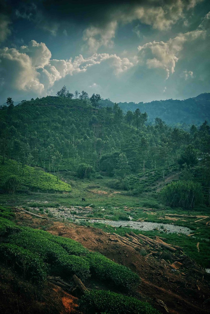 wayanad
