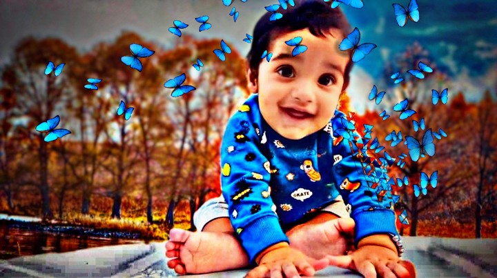 mr.cute