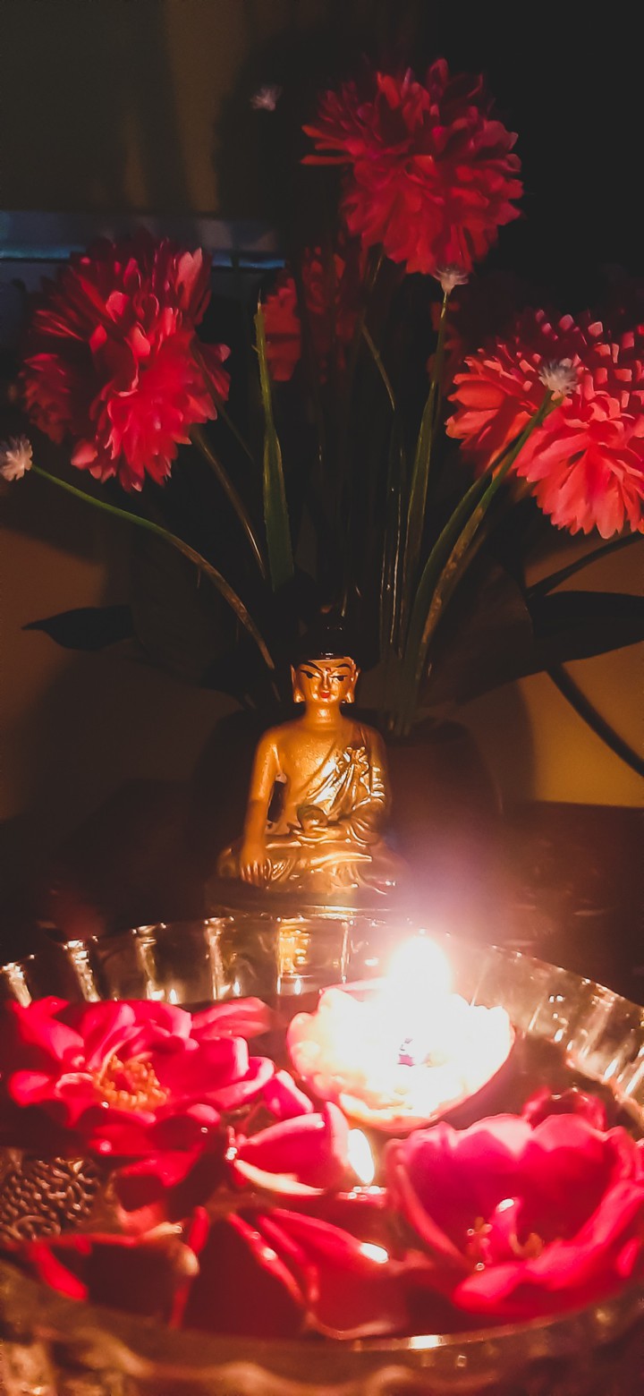 DIVINITY & LIGHT
