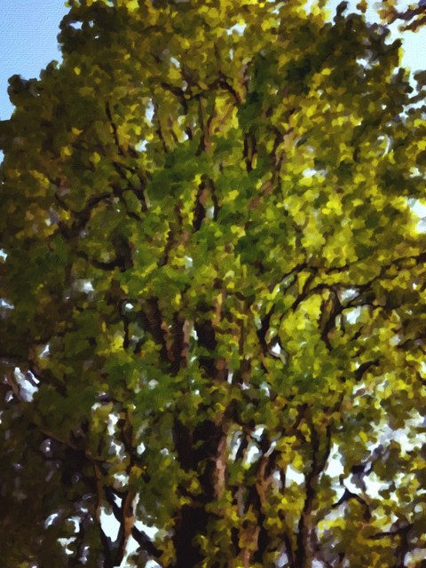 Ölgemälde Baum