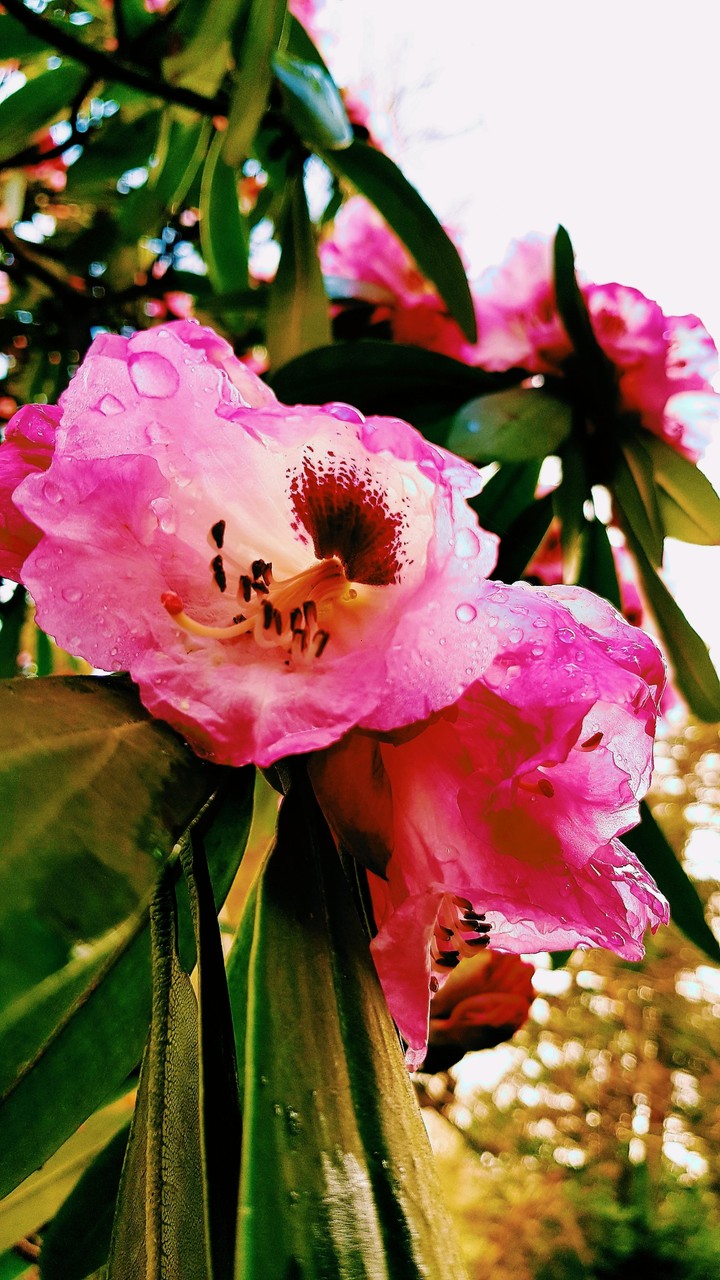 spring is here