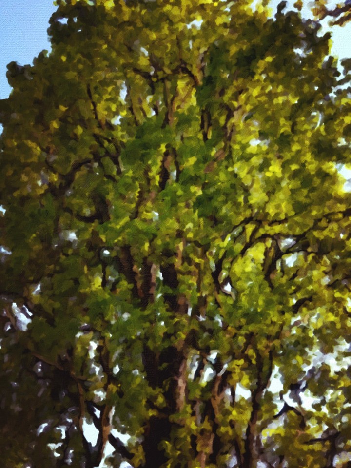 Ölgemälde Baum
