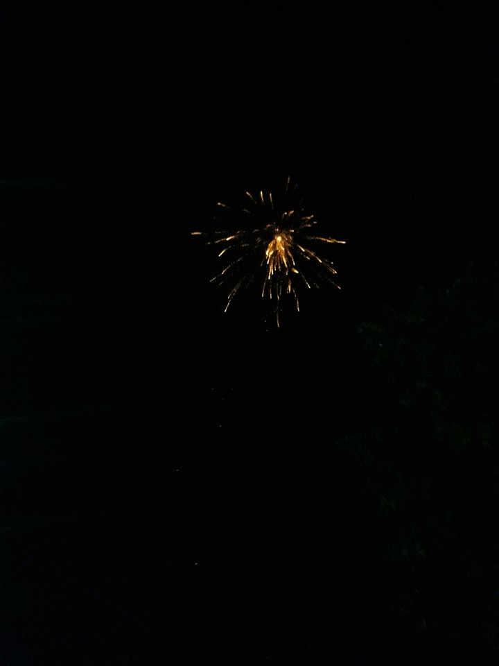 Diwali Celebrations