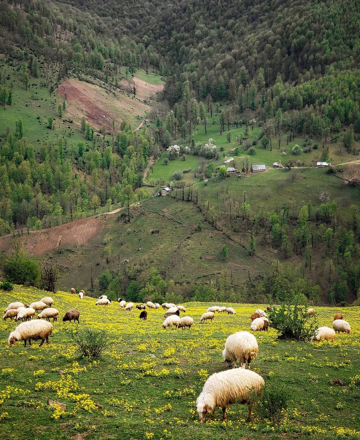 Talesh Nature