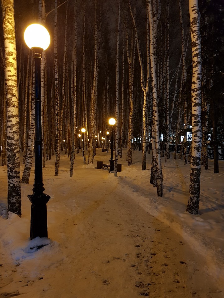 night park