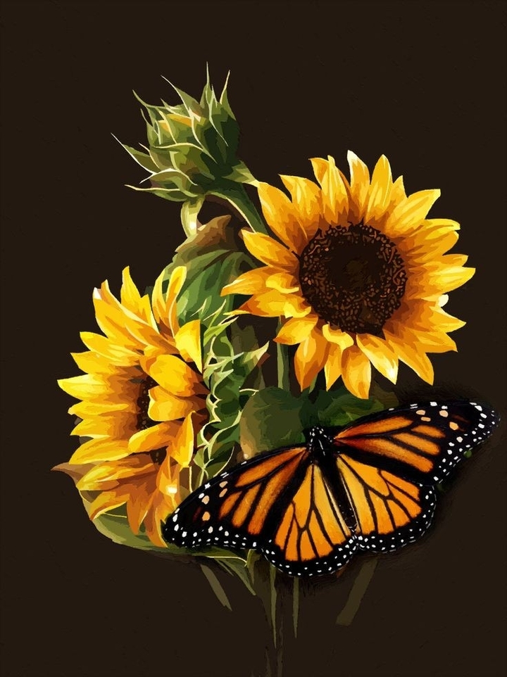 Girasoles