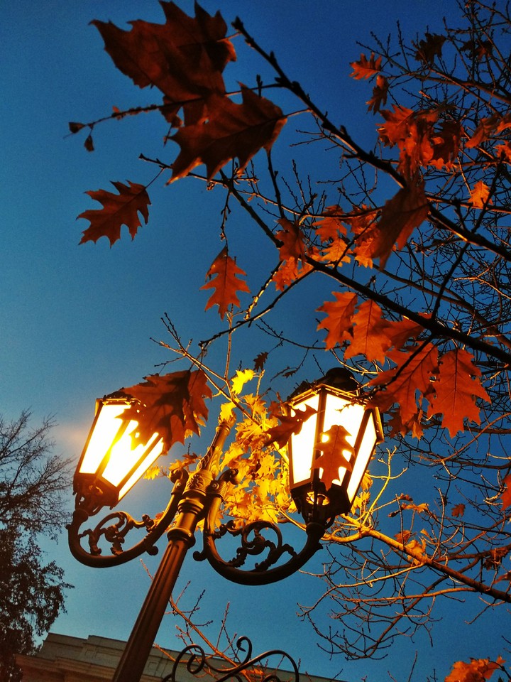 autumn lanterns