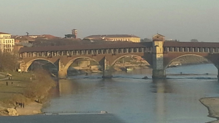 Italyi