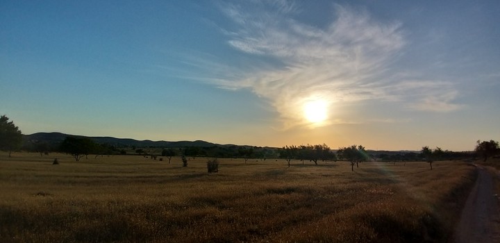 Evening sight