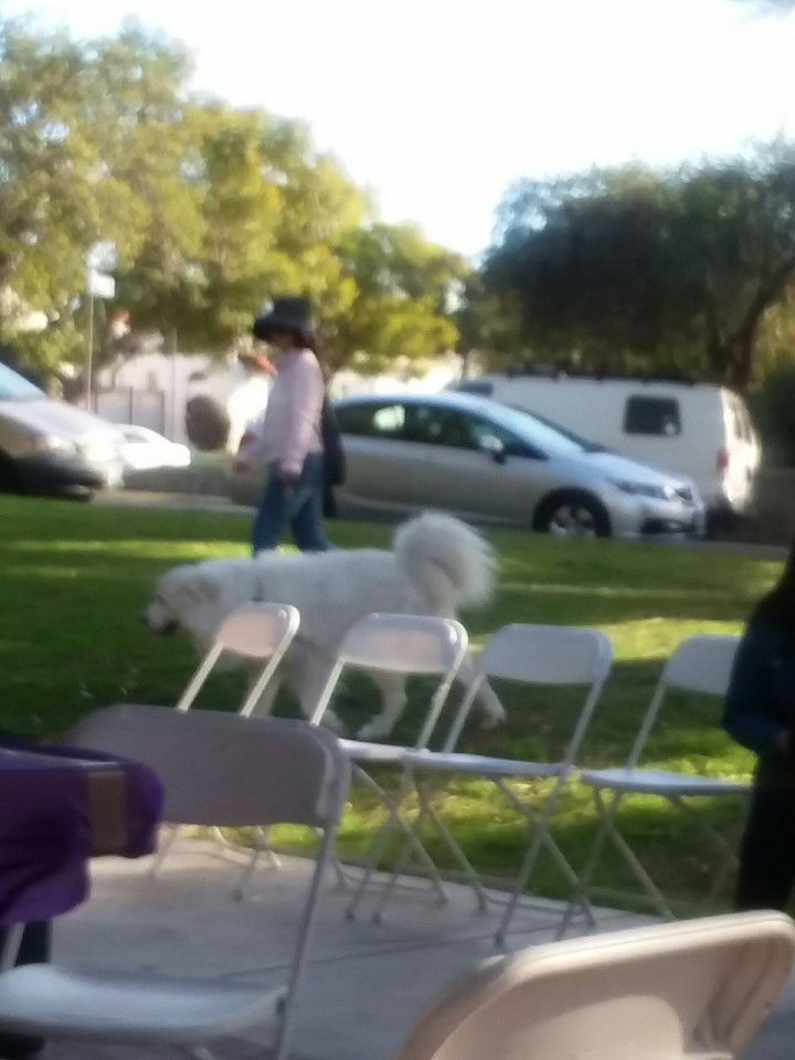 this was today in park and we saw this.