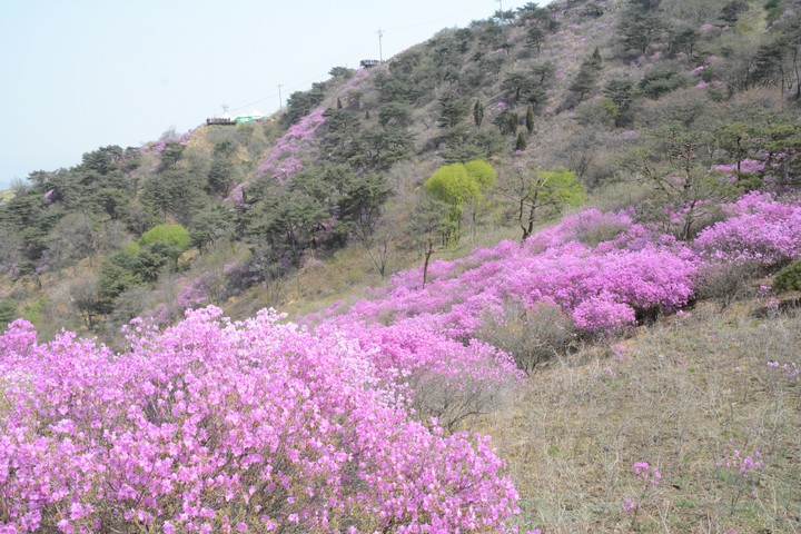 풍경이미지
