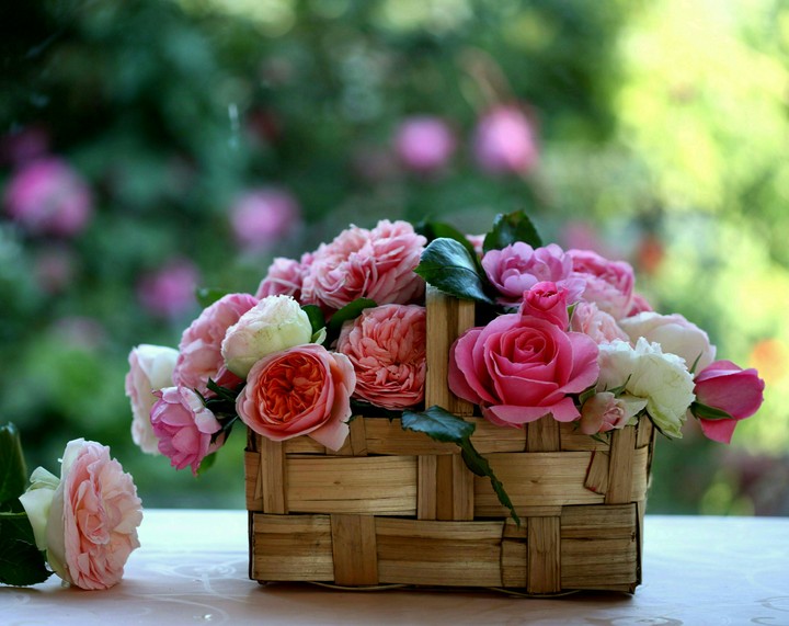 a basket of roses